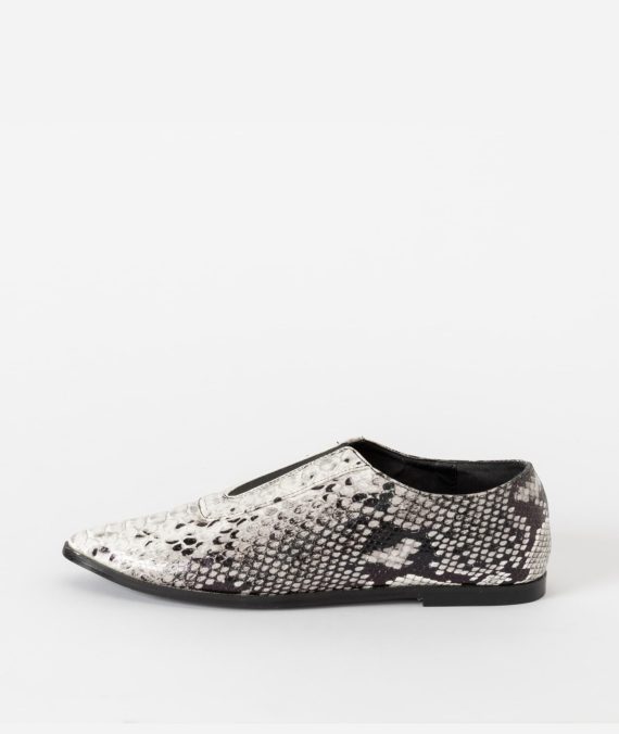 Soccer Shoes